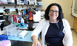 Dr. Nancy Klauber-DeMore in her lab